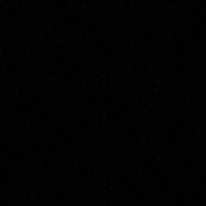 Meet your Posher, Patty